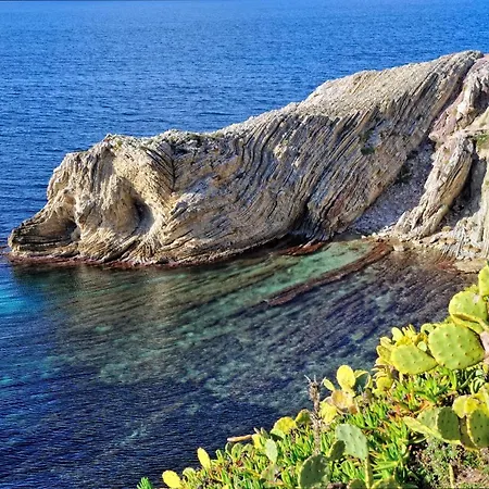 La Ciucca *